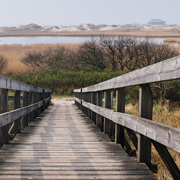 ddos攻击防御手段