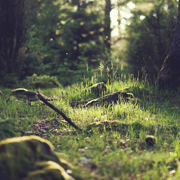 服务器攻击软件