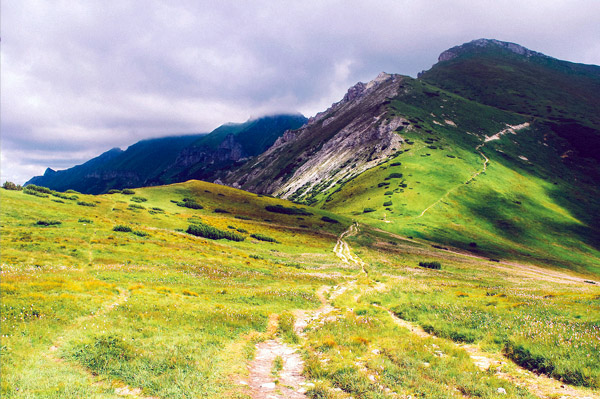 服务器攻击方式